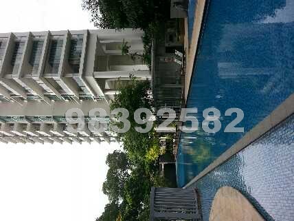 Pavilion 11 (D11), Condominium #607982